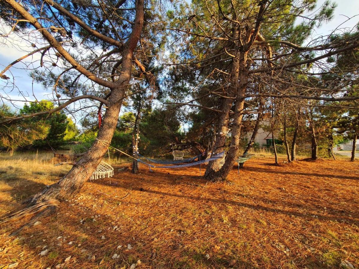 Apartmani Bellevue Vir Exterior foto